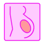 pregnancy calculator android application logo